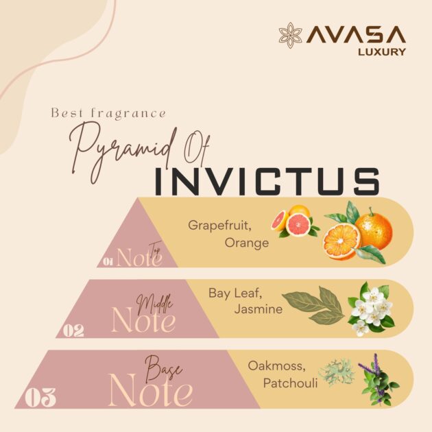 Discovery Set Perfumes – Unbox Your Signature Scent                 "Each bottle 10ml" - Image 3